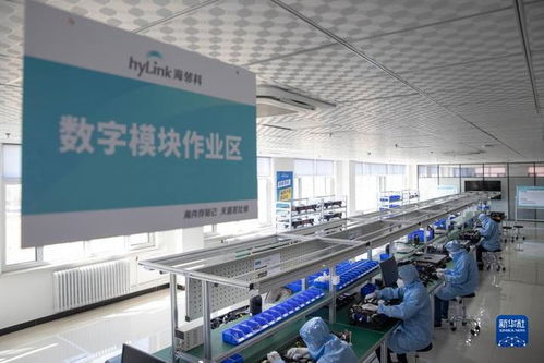 中國最北自貿區 數字經濟轉型中的軟件技術開發新引擎